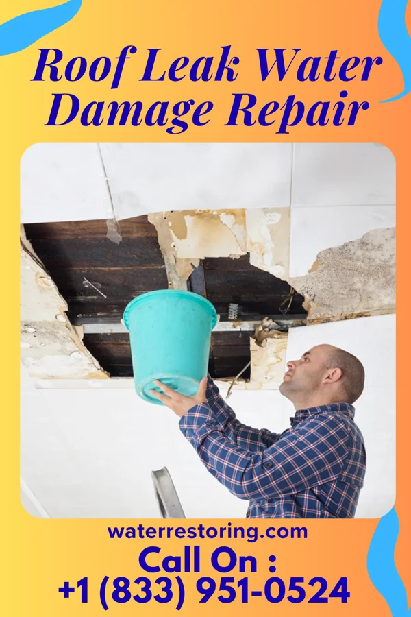 Roof Leak Water Damage Repair in Laketown, UT